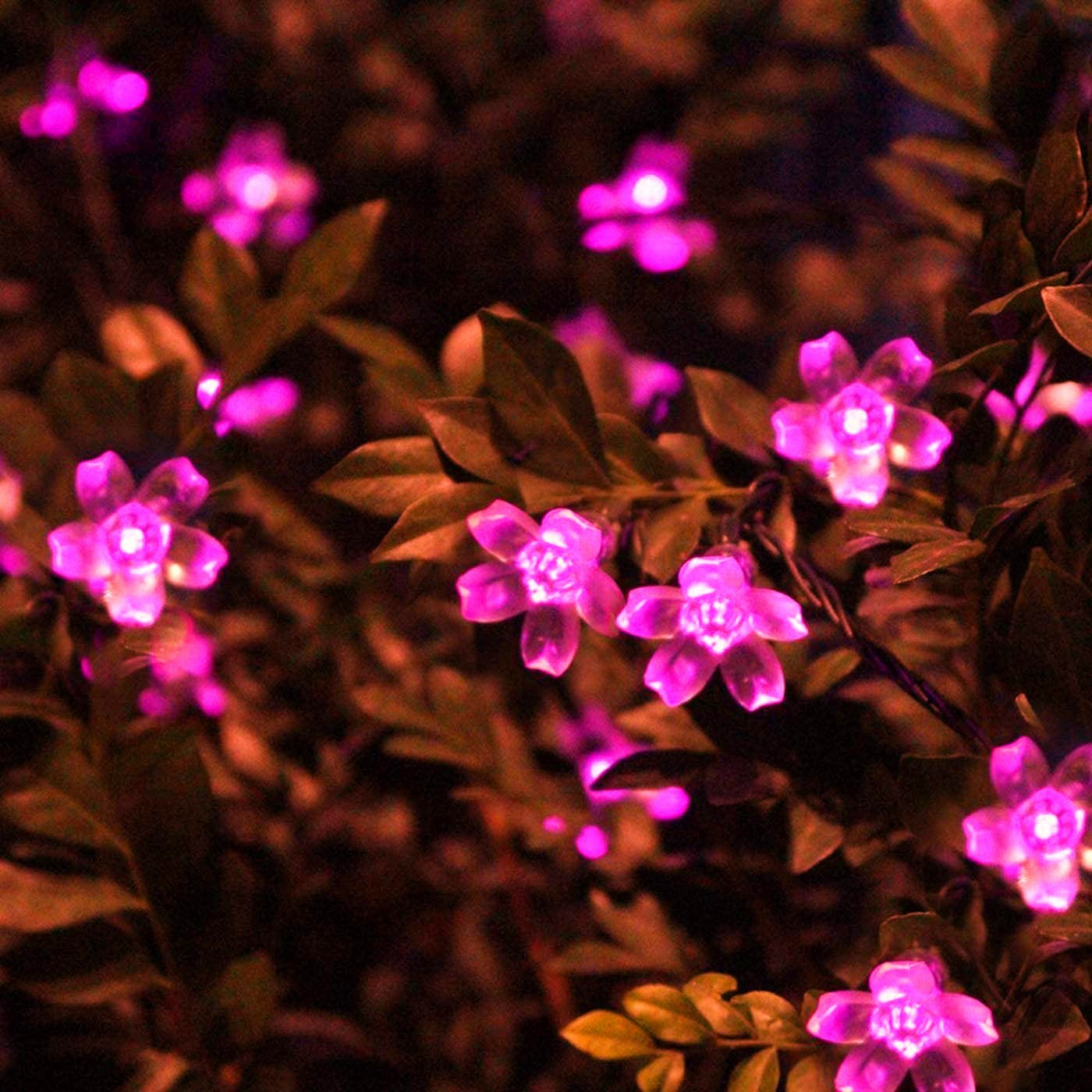 Solar Cherry Garden Blossom Fl - đánh giá và giá Solar String Lights Outdoor 20M